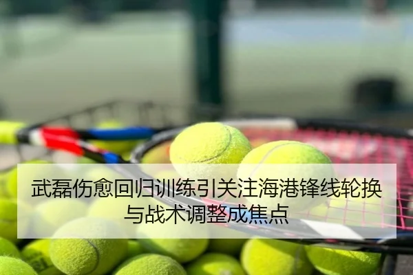 武磊伤愈回归训练引关注海港锋线轮换与战术调整成焦点